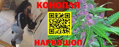 прущие грибы Новодвинск
