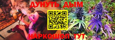 мяу мяу мука Новозыбков