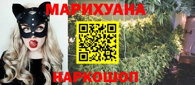 мяу мяу мука Новозыбков