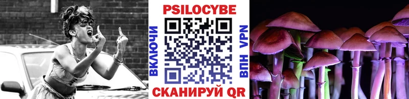 kraken ссылки  Грязи  Псилоцибиновые грибы Magic Shrooms 