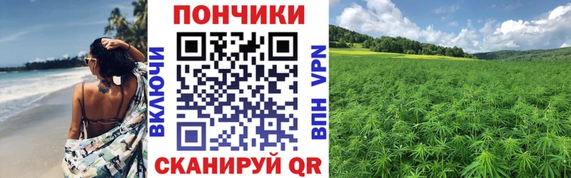 купить   Грязи  Канабис Ganja 